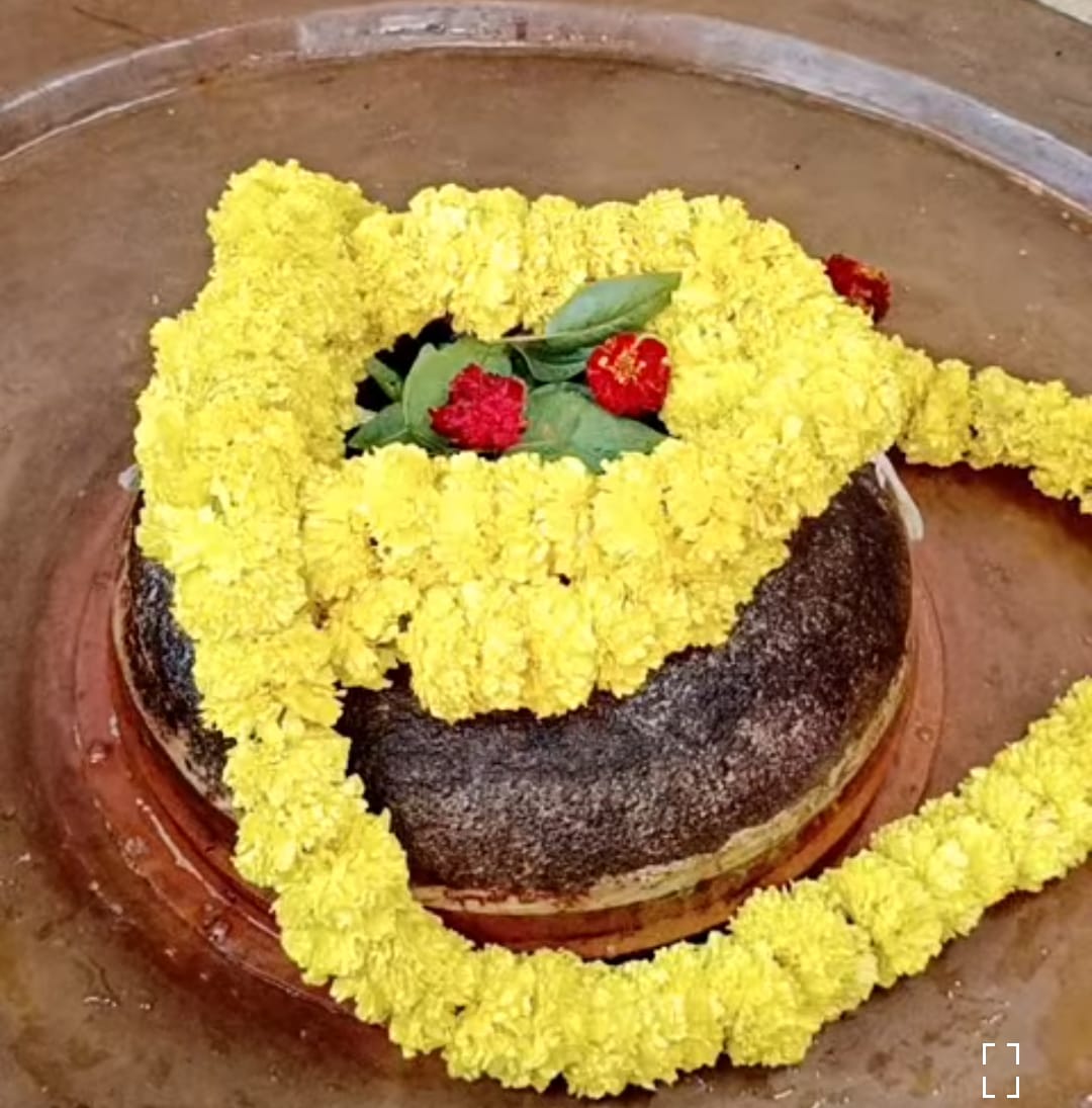 महा शिवरात्रि रुद्रविशेक काशी
